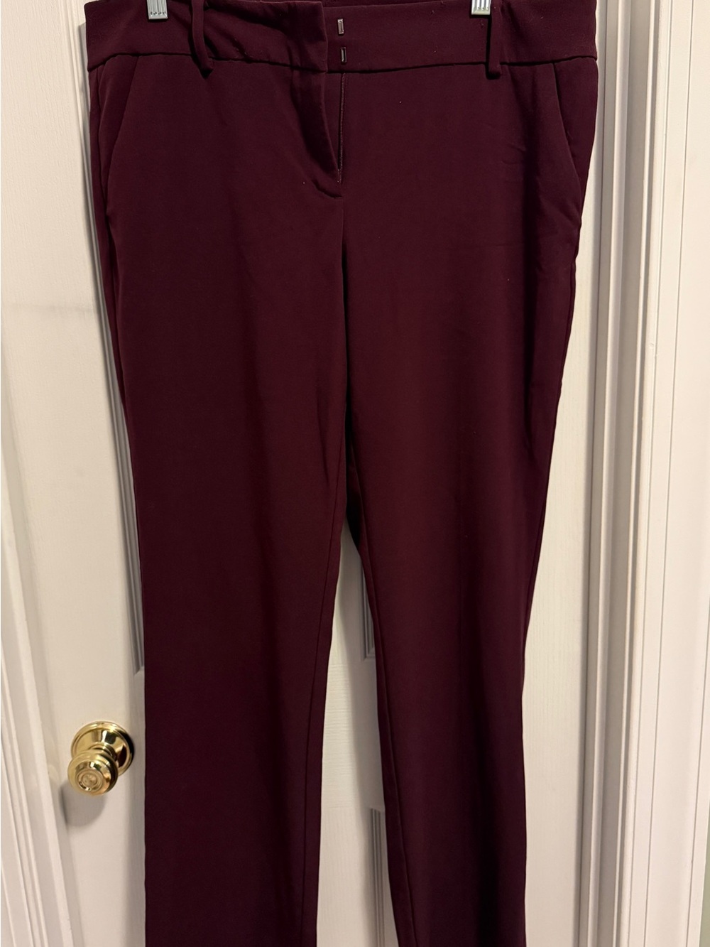 New York & Co Dress Pants - Burgundy